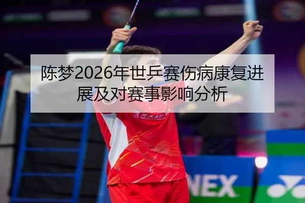 陈梦2026年世乒赛伤病康复进展及对赛事影响分析